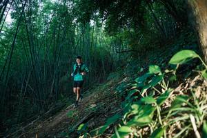 BIB: 
                            <button type="button" onclick="openModal(28124175)" class="btn btn-primary btn-sm float-right btn-popup" data-toggle="modal" data-target=".modal-high-quality">
                        <i class="fas fa-shopping-cart"></i> Add to Cart
                    </button>
                                            <button type="button" onclick="isThisMe(28124175, true)" class="btn btn-success btn-sm float-right btn-popup btn-isme hidden" data-toggle="tooltip" data-placement="bottom" title="นี่คือรูปของคุณใช่ไหม คลิกที่นี่เพื่อเอาเข้าอัลบั้ม">
                        <i class="fas fa-plus"></i> Add to album
                    </button>
                    <button type="button" onclick="isThisMe(28124175, false)" class="btn btn-warning btn-sm float-right btn-popup btn-isnotme hidden">
                        <i class="fas fa-ban"></i> Remove from album
                    </button>